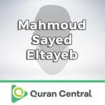 Mahmoud Sayed Eltayeb